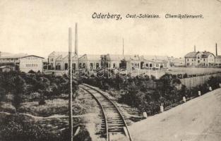 Bohumín, Oderberg; Chemikalienwerk / chemical factory, industrial railway tracks (EK)