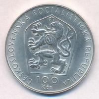 Csehszlovákia 1976. 100K Ag "Viktor Kaplan születésének 100. évfordulója" T:1- 
Czechoslo...