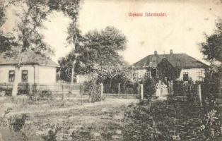 Ilosva, Irsava; falu részlet, kúria / village detail, villa (EK)