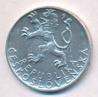 Csehszlovákia 1947. 50K Ag "Szlovák felkelés" T:1-,2
Czechoslovakia 1947. 50 Korun Ag &qu...