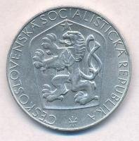 Csehszlovákia 1965. 25K Ag "Felszabadulás 20. évfordulója" T:2 
Czechoslovakia 1965. 25 K...