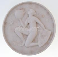 DN Emlék a herendi porcelángyárból, mely 1839-ben alapíttatott bisquit porcelán plakett (77mm) T:2