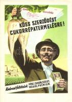 1955 Köss szerződést cukorrépa termelésre! Mezőgazdasági Kiállítás / Hungarian socialist propaganda, sugar beet production advertisement card (EK)