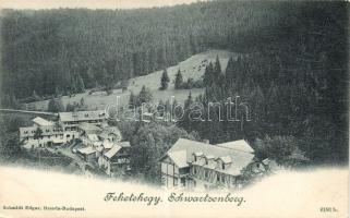 Feketehegy