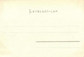 Budapest I. Szentháromság tér a várban, Grünwald Erczherzog papírüzlete, Walther üzlete; Ganz Antal ...