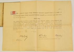 1905 Budapesti M. K. Bábaképző Intézet nagyméretű bába oklevele, díszes egészvászon Gottermayer köté...