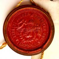 1897 A Magyar Királyi József-Műegyetem gépészmérnöki díszes oklevele Wartha Vince (1844-1914) rektor...