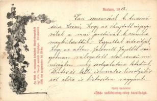 Szalacs, Salacea; Az 1908. év tavaszán készített fás oltványokból egy darab ezerjó eredeti fényképe. Nóé szőlőoltvány-telep reklámlapja / vineyards advertisement card (EK)