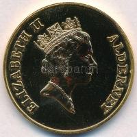 Alderney 1997. 2Ł aranyozott Cu-Ni "Lundák" T:1-
Alderney 1997. 2 Pounds gold plated Cu-N...