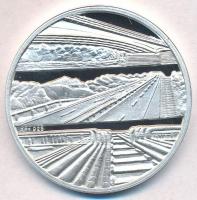 2002. "Vegyépszer Partnertalálkozó" jelzett Ag emlékérem dísztokban (31,16g/0.925/42mm) T:...