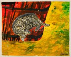 Schéner jelzéssel: Alvó cica, olaj, karton, 40×50 cm