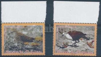 Őshonos madarak ívszéli sor, Indigenous birds margin set