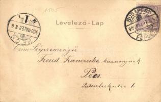 Little girl with butterfly wings. Greeting art postcard. decorated litho (EB)