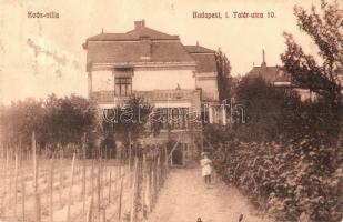 Budapest XII. Németvölgy, Tatár utca 10. Koós villa (ázott sarok / wet corner)