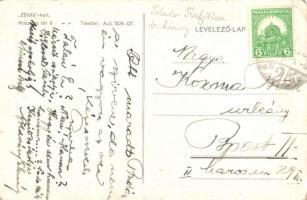 Budapest I. Krisztina tér 9. Zöldfa-kert, étterem kerthelyisége (EK)