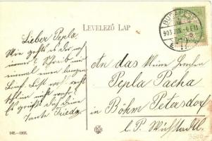 Budapest VII. Központi (Keleti) pályaudvar, Baross-szobor (ázott / wet damage)