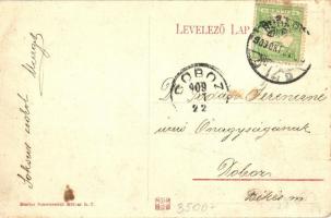 Budapest, Bleriot repülőgépe a Lánchíd felett (fl)