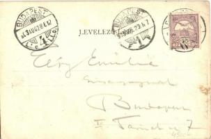 1903 Budapest VI. Párisi Nagy Áruház égése után, tűzvész, tűzoltószerek. Lőbl Dávid és Fia kiadása (...