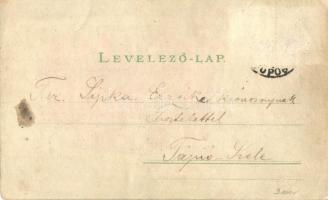 Budapest VI. M. Kir. Operaház. Meteor DRGM. 88690. fény felé tartandó litho / hold to light litho (R...