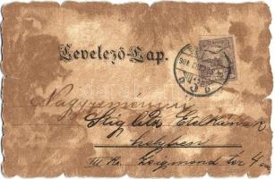 Budapest, látkép székesfehérvári irányból szemlélve, 1686-ban. Kaucky L. kiadása Prágában (EK)