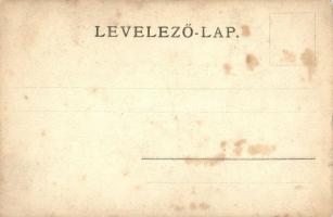 Szolnok, Részlet Simon Gyula úr Ácsorgó nevű nyaralójából, kerékpár. Szigeti H. udvari fényképész fe...