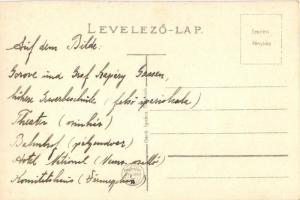 Szolnok, mozaiklap: Gorove utca, Gróf Szapáry utca, Felső ipariskola, Színház, Vármegyeház, Nemzeti ...