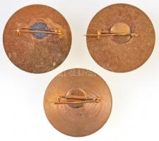 ~1960-1980. "Oroszlányi Szénbányák Törzsgárda" 10, 15 és 20 év után, aranyozott, zománcozo...