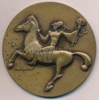 Madarassy Walter (1909-1994) DN "Budapest Sport Egyesület Fotószakosztálya" bronzozott fém...