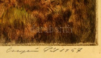 Csergezán Pál (1924-1996): Nyár, színezett rézkarc, papír, jelzett, üvegezett fa keretben, 22,5×34,5...