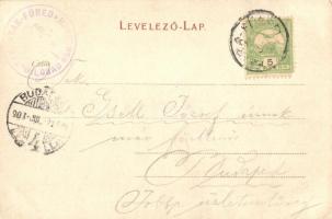 Tátra, Tarpatakfüred és szálloda. F. Pietschmann No. 509. / Wildbad Kohlbach und Hotel / hotel (EK)