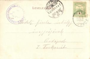 Tátra, Zerge szálloda. F. Pietschmann No. 511. / Hotel Gemse (EK)