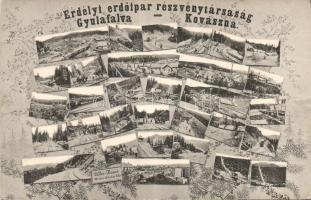 Gyulafalva-Kovászna Forestry