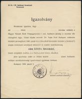 1945 Bp., Kitöltetlen igazolvány hadiüzemi dolgozó részére, mely felment a bevonulási kötelezettség alól