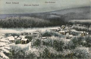 Dubí, Eichwald; winter