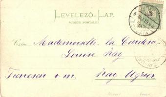 1898 Budapest, Igazságügyi palota, Vígszínház. F. Schmuck floral Art Nouveau litho (EK)