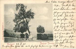 1898 Budapest XII. Zugliget, Normafa. Károlyi György kiadása