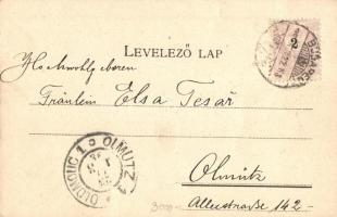 1898 Budapest XII. Zugliget, Normafa. Károlyi György kiadása