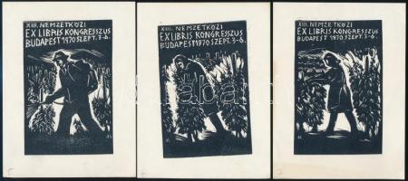 Andruskó Károly (1915-2008): XIIi Nemzetküzi Ex Libris kongresszus, szőlészet.Fametszet, papír, össz...