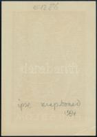 Forsblom, Yngve (1906-1982): Erotikus ex libris, fametszet, jelzett a dúcon, 8,5,5 cm