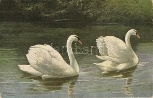 4 db RÉGI motívumlap; hattyúk / 4 pre-1945 motive postcards; swans