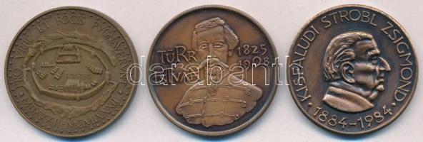 Kiss Sándor (1925-1999) 1982. "Magyar Éremgyűjtők Szombathelyi Csoportja - Jurusich Miklós / Kő...