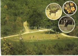 3 db MODERN vadászos motívumlap / 3 modern hunting motive postcards