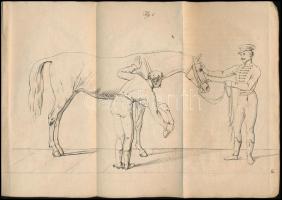 Constantin Balassa: Der Hufbeschlag ohne Zwang. Bécs, 1828, Carl Gerold. Német nyelven, illusztráció...