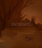 Csáky Lajos (1950- ): Öreg fűz. Olaj, farost, jelzett, fa keretben, 50×60 cm