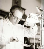 cca 1934 Békéscsaba, a Thöresz-féle gyógyszertár kívül-belül, 13 db szabadon felhasználható, vintage...