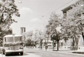 cca 1965 Budapesti autóbuszok, 5 db szabadon felhasználható, vintage negatív, 24x36 mm és 6x6 cm köz...