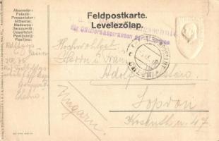 Feldzug 4. Armee 1914-1916. - Viribus Unitis. A 4. hadsereg jelvényének képe / WWI K.u.K. Austro-Hun...