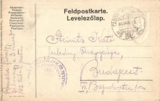 Feldzug 4. Armee 1914-1916. - Viribus Unitis. A 4. hadsereg jelvényének képe / WWI K.u.K. Austro-Hun...