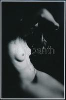 cca 1980 Ujhelyi István (1936-2003) budapesti fotóművész hagyatékából 3 db vintage fotóművészeti alk...