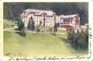 Semmering, Hotel Panhans. XL/1. Wiener Künstler Postkarte Philipp & Kramer s: H. Wilt (EK)